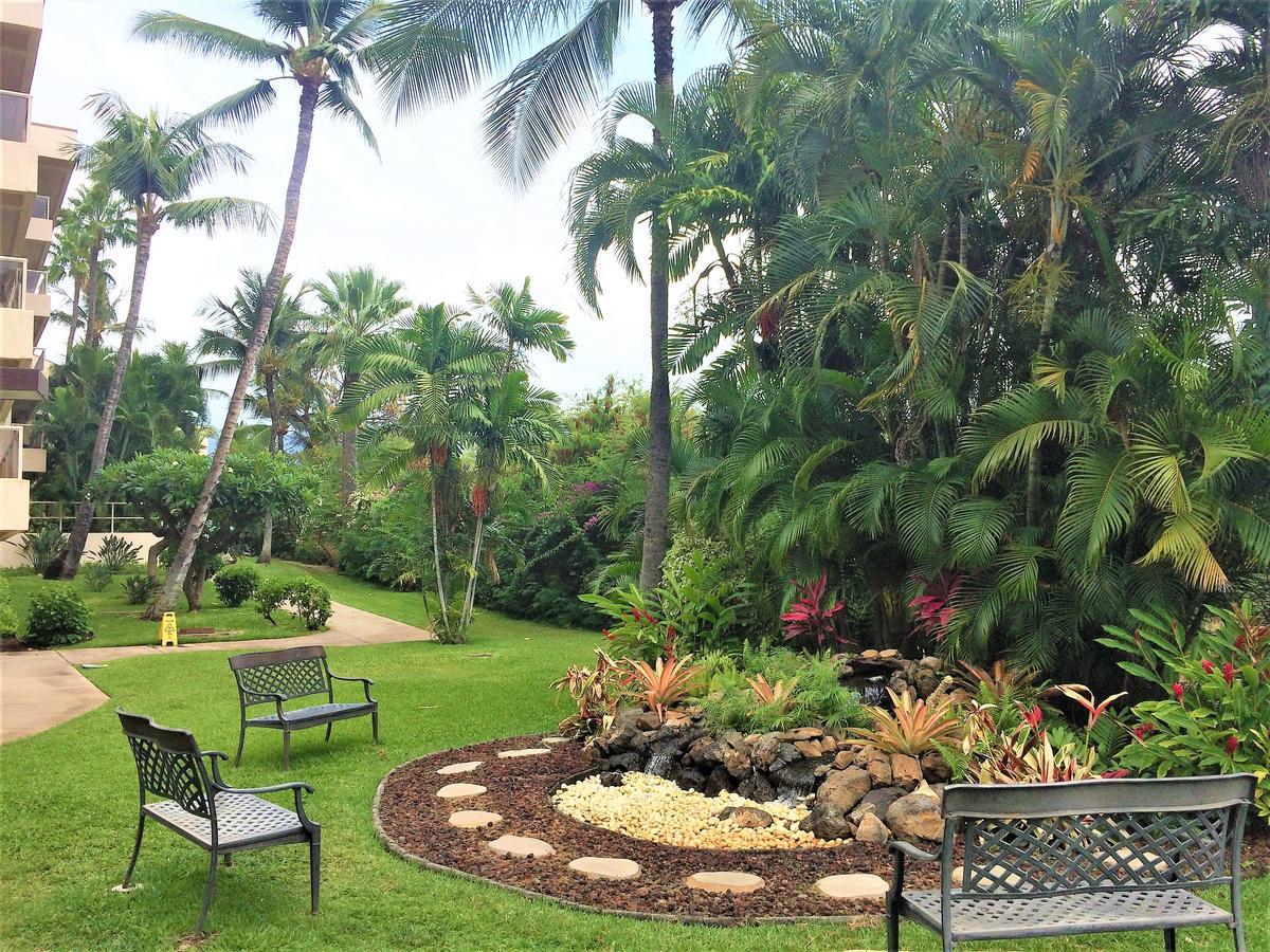Maui Banyan By Condo Rentals Hawaii 와일레아마우이 외부 사진